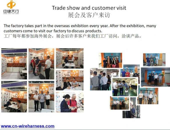Fabricación de arneses de cableado Solución de cableado personalizada Específico Arneses de cableado de cables de 16 pines 6