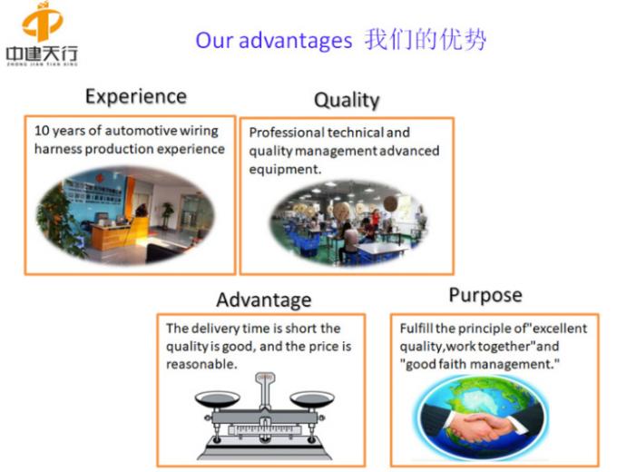 Automotive Wire Harness Assembly DSP Amplifier Radio Wire Car Audio Harness ISO Wiring Harness for Cars